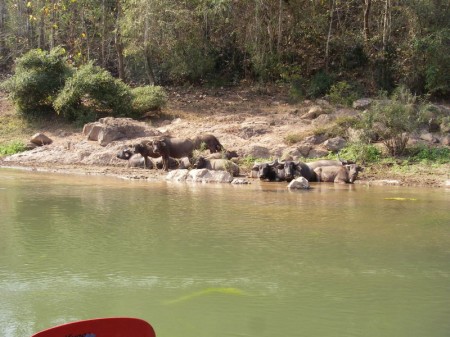 ach wie schön ist es im Wasser