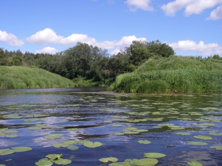 romantische Verbindung zum See