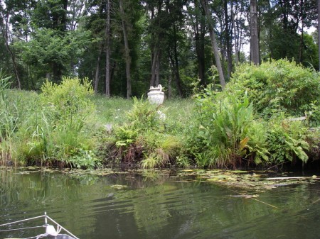 Idylle im verwilderten Garten