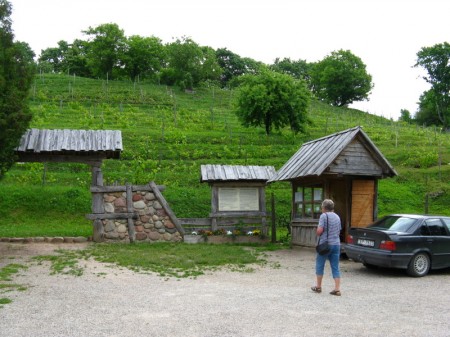 der nördlichste Weinberg Europas