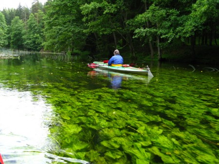 glasklares Wasser lässt tiefe Einblicke zu